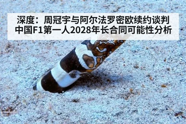 深度：周冠宇与阿尔法罗密欧续约谈判 中国F1第一人2028年长合同可能性分析
