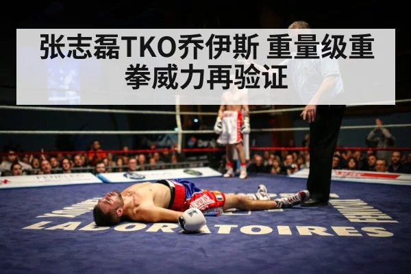 boxer knockout moment